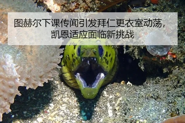 tu-he-er-xia-ke-chuan-wen-yin-fa-bai-ren-geng-yi-shi-dong-dang-kai-en-shi-ying-mian-lin-xin-tiao-zhan-3-670.jpg