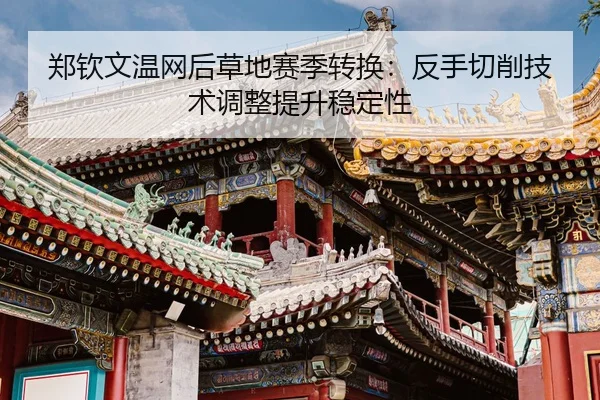 zheng-qin-wen-wen-wang-hou-cao-di-sai-ji-zhuan-huan-fan-shou-qie-xiao-ji-shu-tiao-zheng-ti-sheng-wen-ding-xing-3-547.jpg