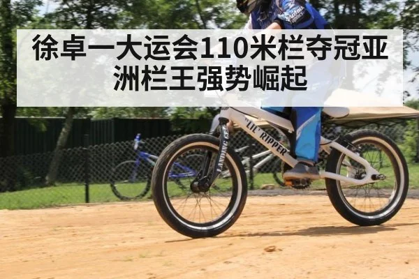 徐卓一大运会110米栏夺冠亚洲栏王强势崛起